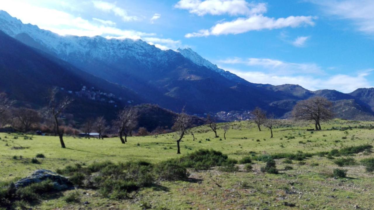 Appartement Raffine A Feliceto 120 M² Avec Vue Sur Montagne Екстериор снимка