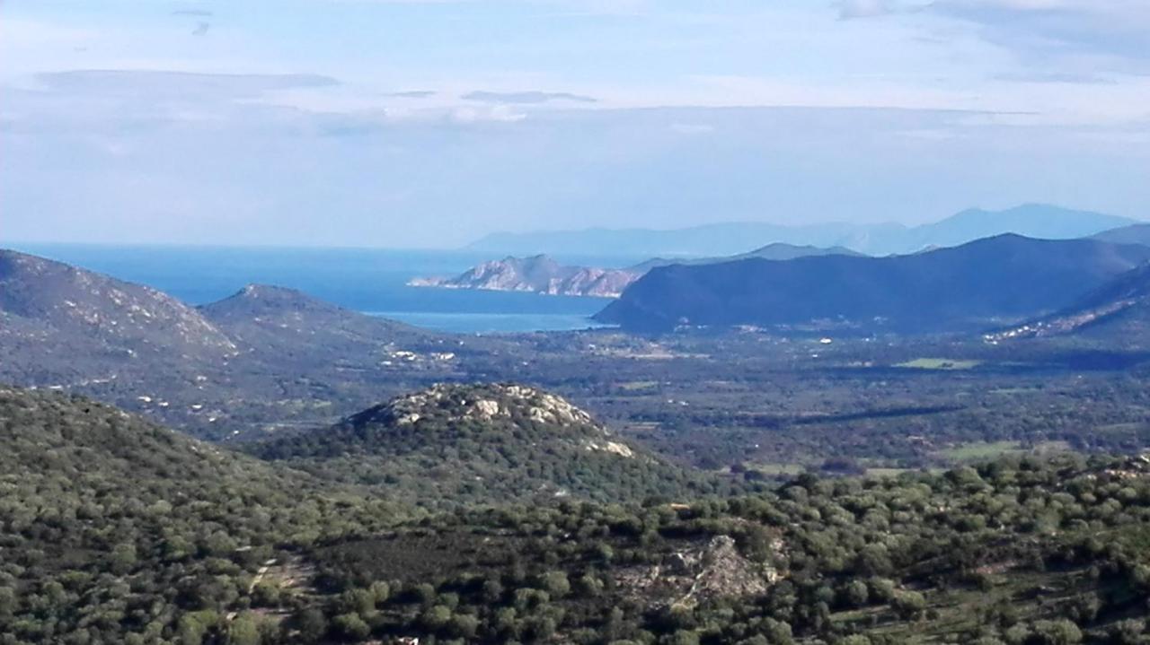 Appartement Raffine A Feliceto 120 M² Avec Vue Sur Montagne Екстериор снимка